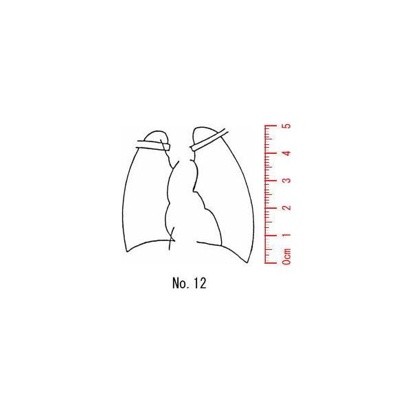 l̐}@×p@Je@yx@z12/X^v/S/i