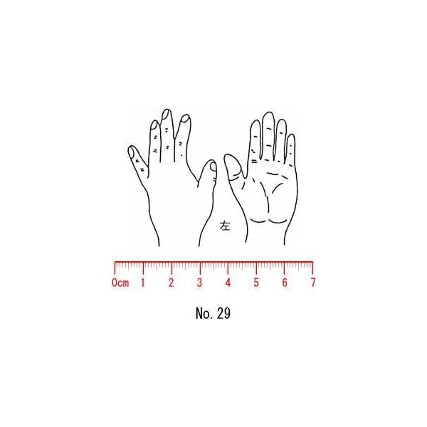 l̐}@×p@Je@yz29/X^v/S/i