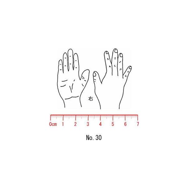 l̐}@×p@Je@yEz30/X^v/S/i