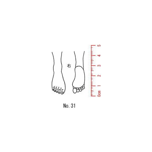 l̐}@×p@Je@yEz31/X^v/S/i