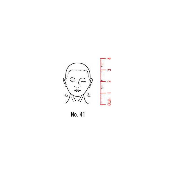 l̐}@×p@Je@y@`z41/X^v/S/i