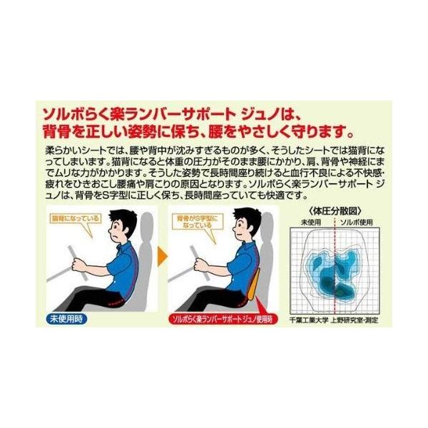 ソルボらく楽ランバーサポートジュノ フィットネス トレーニング インテグラルのソルボらく楽ランバーサポートジュノ ブラック