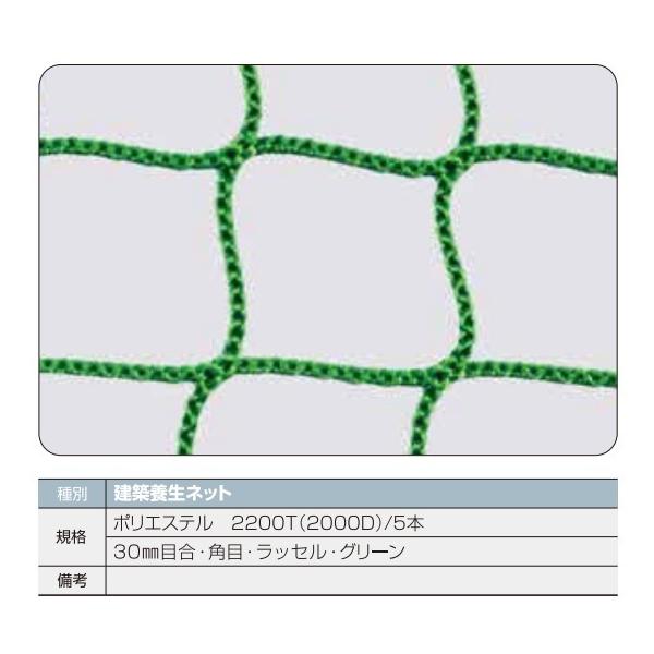 �O���[���{���l�b�g 5m  x  10m �i1���j �{���l�b�g �{�� �l�b�g �� ����  �{���l�b�g �{�� �l�b�g �� ���� �O���[���l�b�g ���S�l�b ����