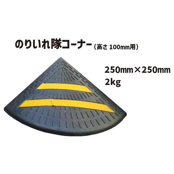 ̂肢R[i[ 100p iSiX[vj 