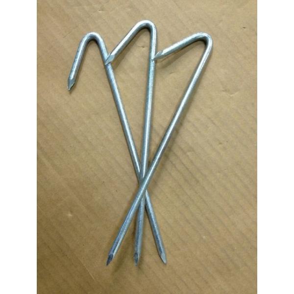 [vY i200{ji[v~ߓBE[v~ߋj  [v~ [v Œ Y W[v j (@lElƎlEs) 