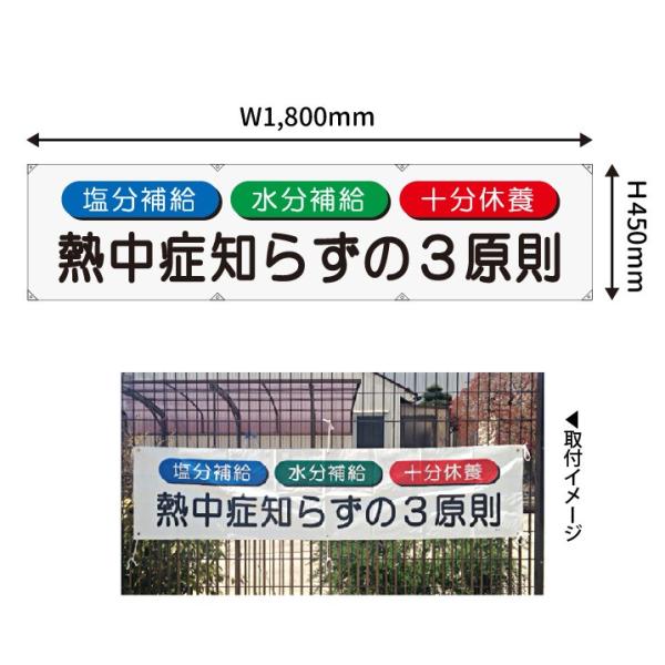 a f(3) N12-55 i@lElƎljMǑ΍ MǑ΍ObY ėp  ܂ ^[| ^[|n 