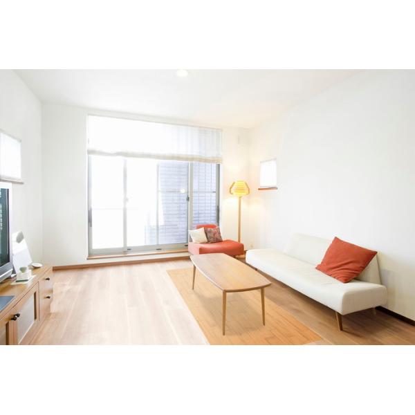 mxV[g 9cm 45cm×240cm V[g V[g  diy mx[V rO   V[ (@lElƎlEs 