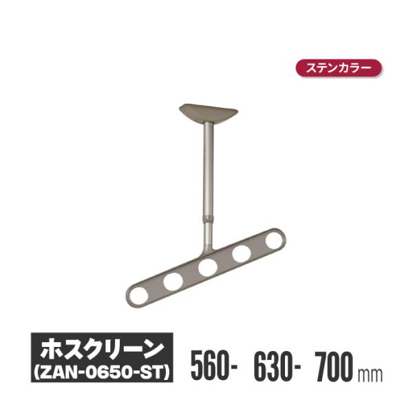 物干し アルミ 洗濯 ホスクリーン 2個セット 川口技研 ホスクリーン 軒天タイプ ステンカラー 2本セット zan-0650