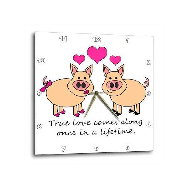【並行輸入品】 3dRose LLC True Love Comes Along Once in A Lifetime かわいい豚 ラブデザイン 10 x 10インチ 壁掛け時計