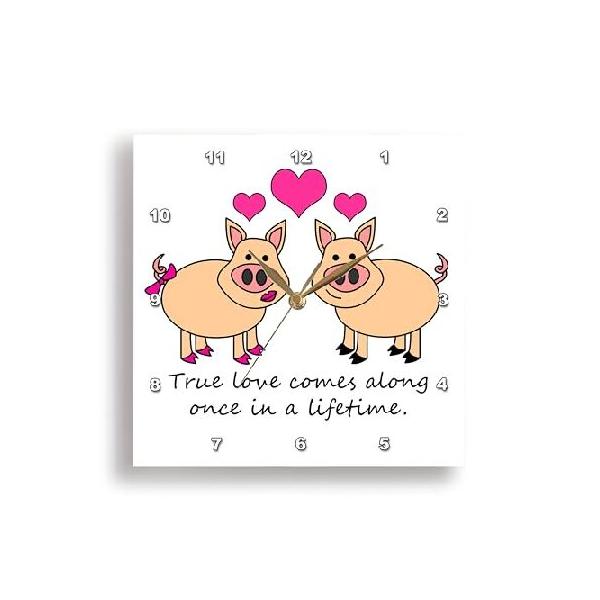 【並行輸入品】 3dRose DPP_6292_3 True Love Comes Along Once in a Lifetime かわいい豚 ラブデザイン 壁掛け時計、38.5 x 35.5 cm