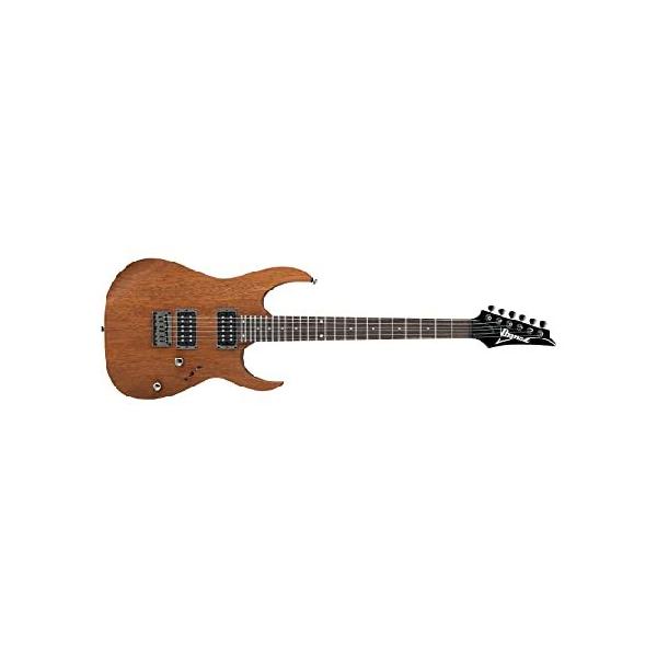Ibanez アイバニーズ エレキギター RG421 MOL : インター