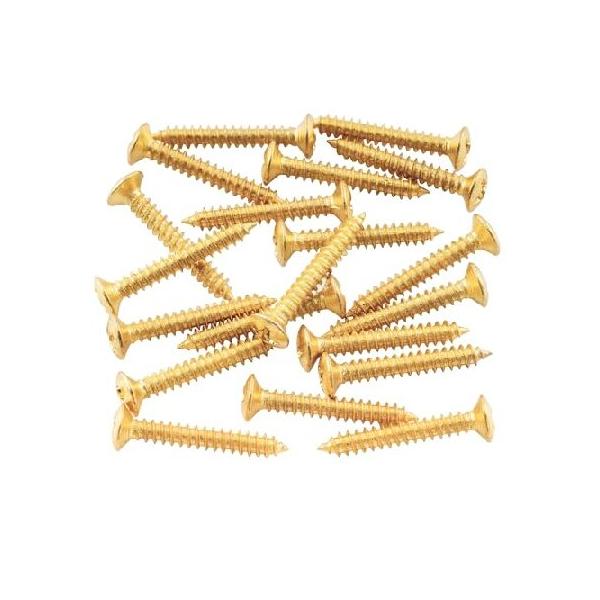 【並行輸入品】 Musiclilyブリッジマウント用ビス 3x22mm エレキギター用、ゴールド(20本)