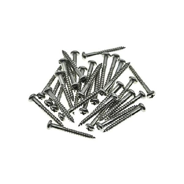 【並行輸入品】 Dopro 30-Pack Stainless Steel Phillips Head Vintage-Style Guitar Tremolo Bridge Mounting Screws for Vintage FD Strat/Stratocaster