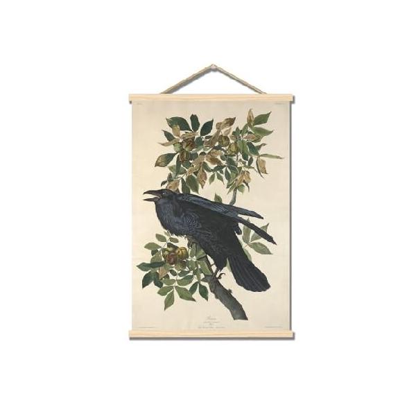 【並行輸入品】 John James Audubon Canvas Wall Art Crow Poster - Vintage Animal Painting Print Wood Frame Hanging Poster Famous Painting Print Suitable