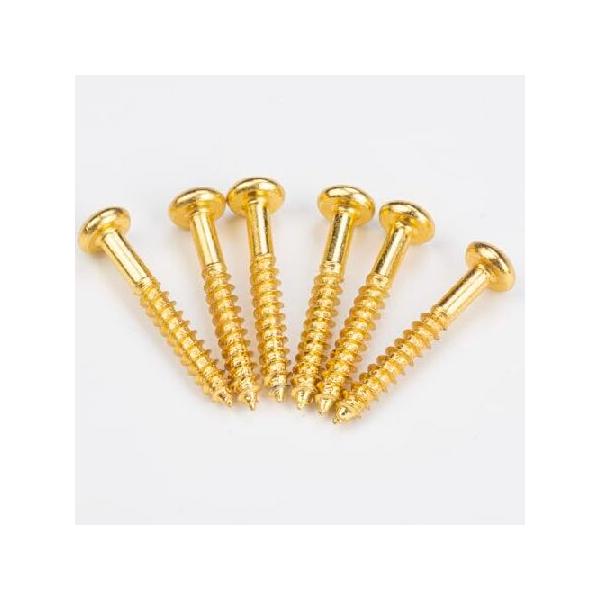 【並行輸入品】 DIAO79NI ストラットスタイル用6個 27.5mm ギター トレモロ ブリッジ 取り付けネジ (ゴールド)