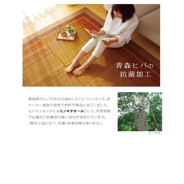 O Y   J[ybg wNXx  x[W@ ]ˊ  U i261×352cm)