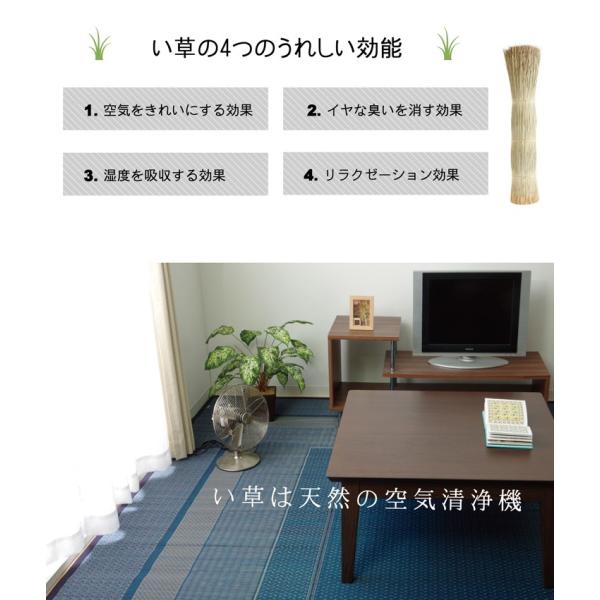 O Y   J[ybg wNXx lCr[ ]ˊԁ@R i174×261cm)  4131503