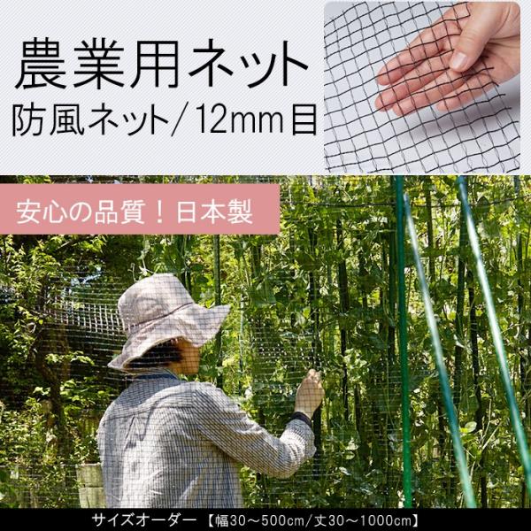 lbg  hlbg _Ɨplbg |p 12mm I[_[ 30`100cm×110`200cm JQ