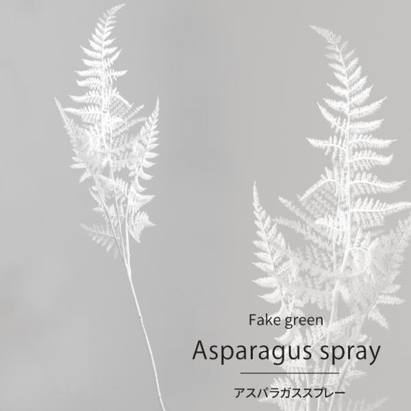 繊細な細い葉が特徴のアスパラガスの葉。数本束ねてブーケにしたり、スワッグにしたり簡単におしゃれなアレンジができます。■商品名：アスパラガススプレー■サイズ：長さ58cm、葉径16〜21cm■材質：ポリエチレン※色はモニターやお客様のご覧にな...