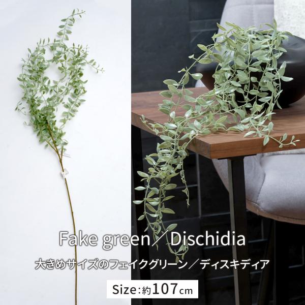 1本の長い茎にたっぷりと葉をあしらったボリュームたっぷりのバイン。茎の長さが調整しやすいバインは、大きな枝ものを活けて飾れるようなフラワースタンドにさしてアレンジメントを楽しめます。肉厚でぷっくりとした小さなしずくの葉を持つディスキディア。...