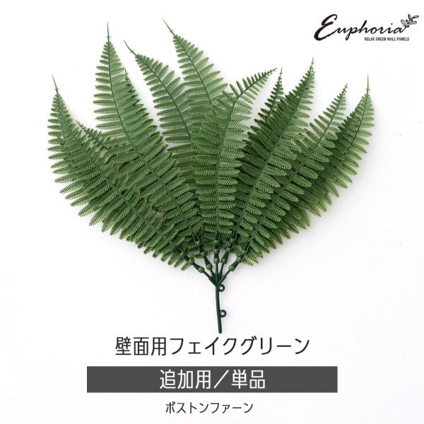 ボストンファーン（セイヨウタマシダ）を思わせるシダ植物特有の刃先が細かく分かれたグリーン。15枚の葉が集まった房はひと房だけでもボリュームがあります。グリーンウォールのボリュームが欲しい部分の追加やオリジナルのアレンジに。茎の輪を使ってジョ...