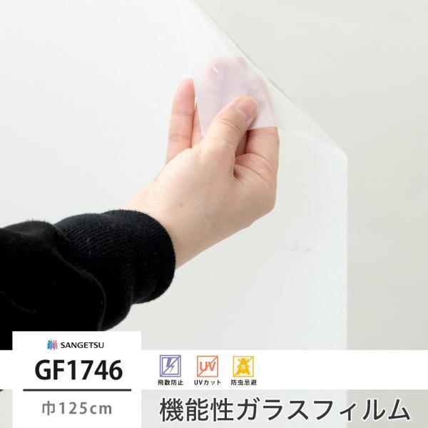 KXtB  ډB TQc  UVJbg V[g GF1746  125cm JQ