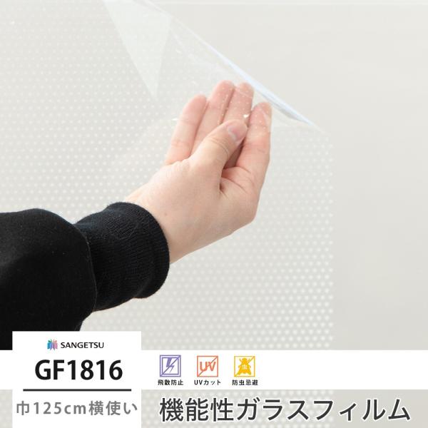 KXtB  ډB TQc  UVJbg V[g GF1816 R~I 125cmg JQ