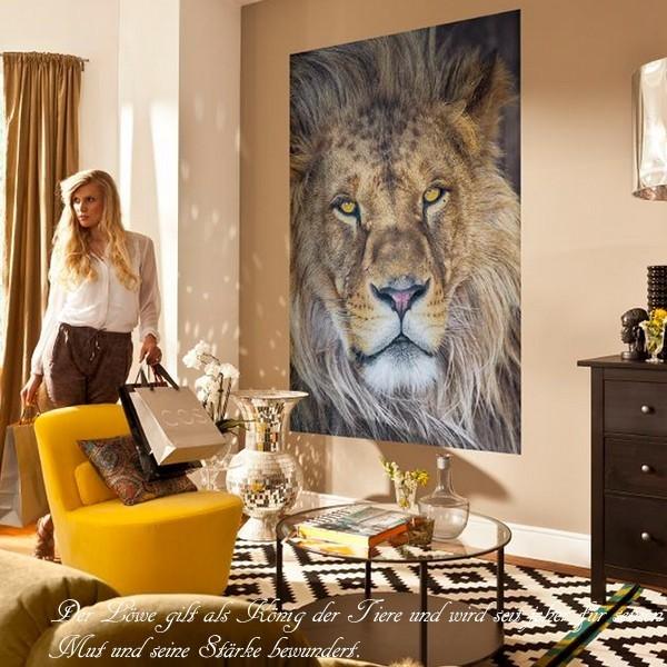 壁紙 おしゃれ 動物の写真 張り替え 自分で Diy クロス 輸入壁紙 Lion ライオン 1 619 紙製 Csz Kger029 カーテン レールのインテリアデポ 通販 Yahoo ショッピング