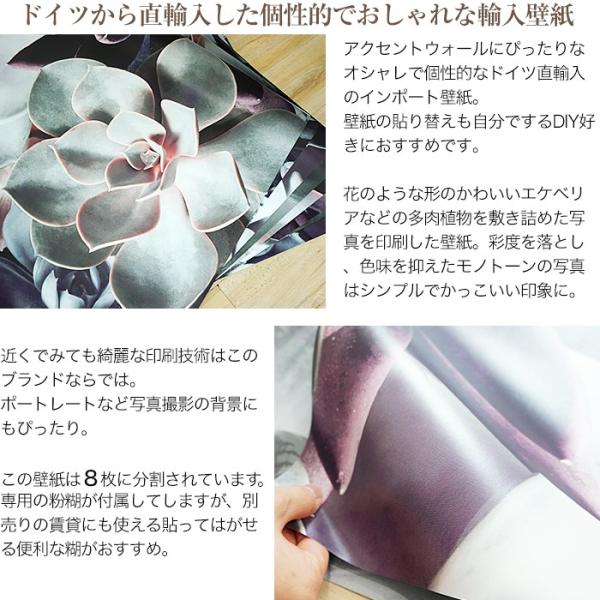 おしゃれな輸入壁紙 クロス ドイツ製 Shades シェード 8 962 多肉植物 写真 Buyee Buyee Japanese Proxy Service Buy From Japan Bot Online