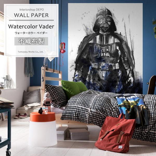 ǎ  fBYj[ X^[EH[Y ւ  diy NX Aǎ Watercolor Vader IADX4-017 t[X  C-F-1