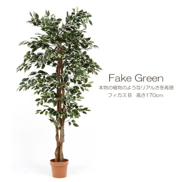 人工観葉植物 フェイクグリーン フィカス 大型 7号鉢 : インテリア
