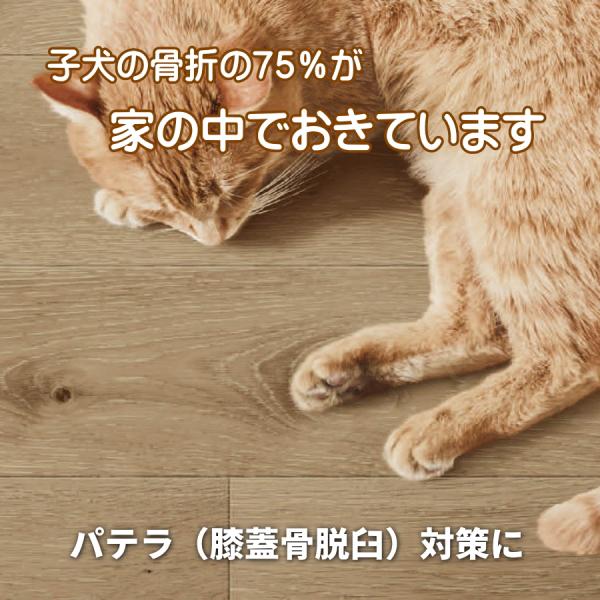 ペット カーペット 消臭 抗菌 防キズ はっ水 犬猫用 足腰負担軽減 床保護 オーク柄 キッチンマット 約60ｃｍＸ180ｃｍ