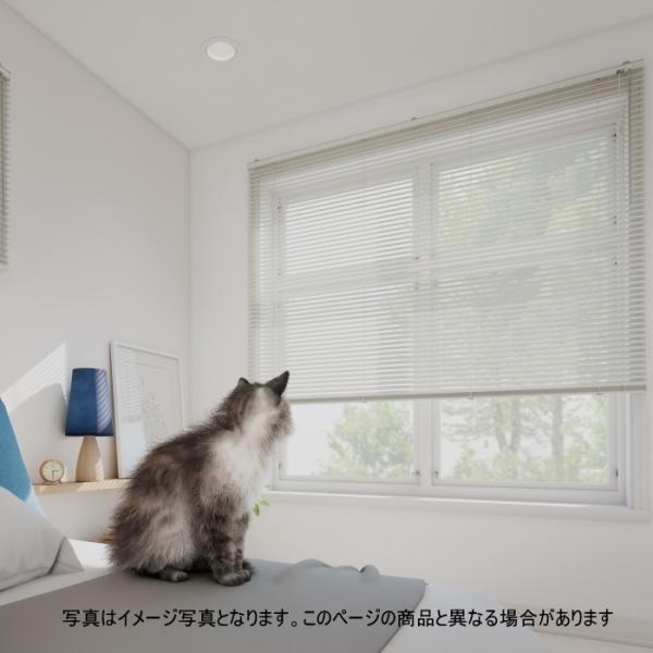 interior-fuji_k-bl-st-b107