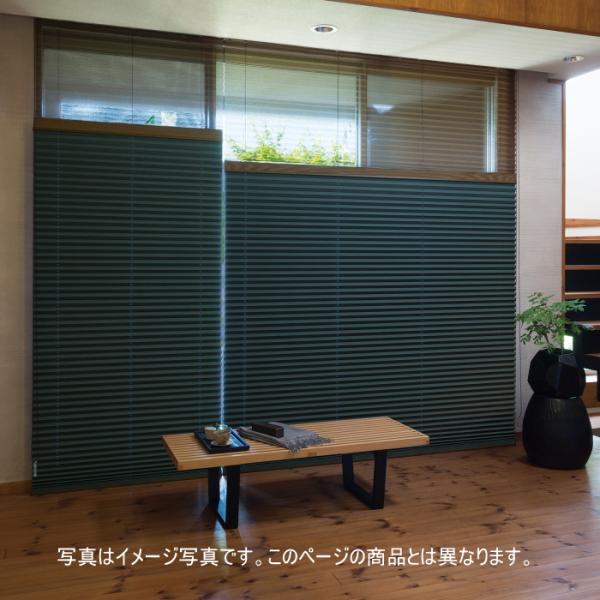 ニチベイ（Nichibei） プリーツスクリーン 遮光 もなみ 25mm カグラ