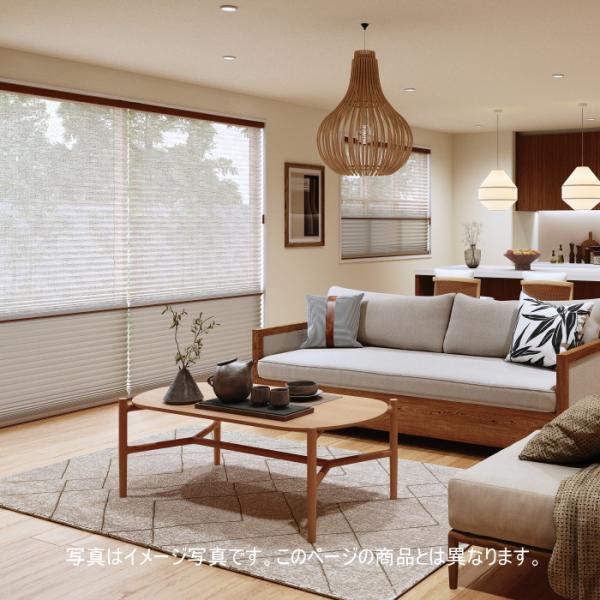■製品名：プリーツスクリーン もなみ■スラット巾：25mm■メーカー：ニチベイ■生地名: アエル■生地品番：M5179〜M5181■スタイル名：シングルスタイル■操作方法：コード式■オーダー適応サイズ：幅15〜24cm×高さ61〜100cm...