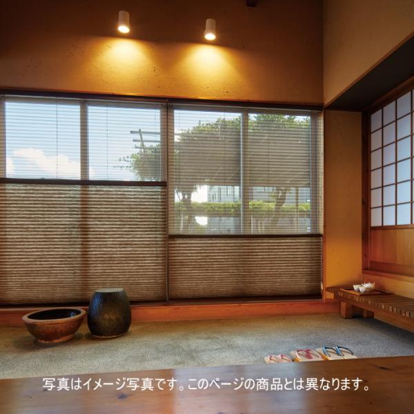 ■製品名：プリーツスクリーン もなみ■スラット巾：25mm■メーカー：ニチベイ■生地名: イクノ■生地品番：M5184〜M5186■スタイル名：シングルスタイル■操作方法：チェーン式■オーダー適応サイズ：幅31〜50.5cm×高さ30〜60...