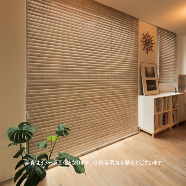 interior-fuji_nb-c50cf-c-c013