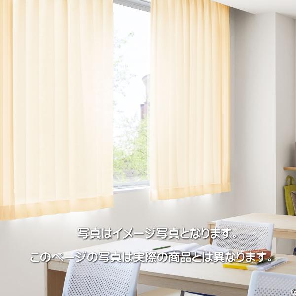 サンゲツ（SANGETSU） 防炎カーテン 日除け 学校 教育施設用 ニュー