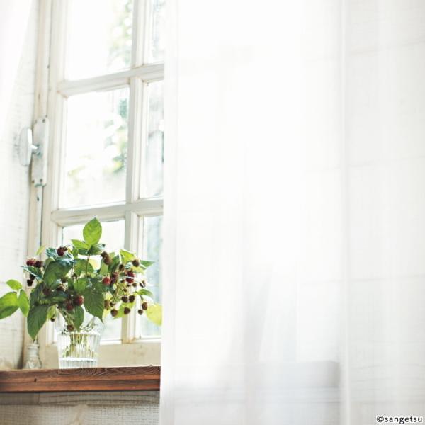 サンゲツ 防炎カーテン レース 公共施設用 UVカット 遮熱 ミラー 標準