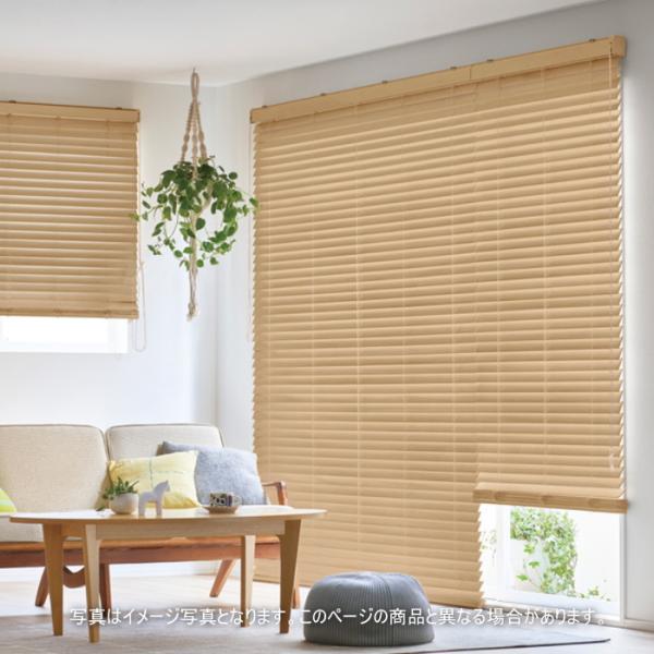 interior-fuji_tk-wdex-cc-ec013