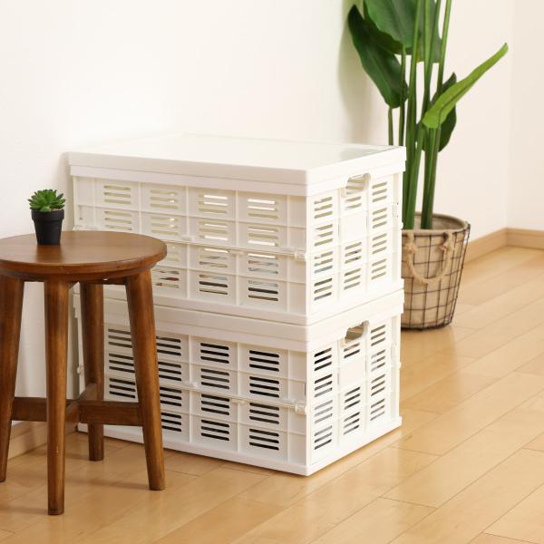 プラスチック製 50 奥行 押入れ収納 クローゼット収納 通販 価格比較 価格 Com