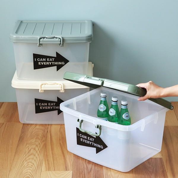 収納ボックス L 幅45×奥行38×高さ26cm フタ付き プラスチック 日本製