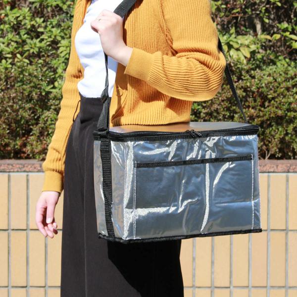 保冷バッグ アルミクーラーバッグ 15l クーラーボックス 保冷 クーラーバック ソフトクーラー コンパクト 15リットル 15ｌ ソフト インテリアパレットヤフー店 通販 Yahoo ショッピング