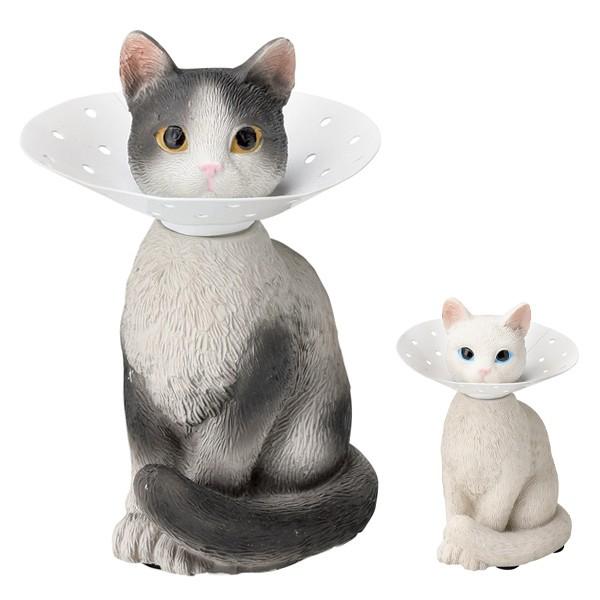 ANZT[X^h sAXz_[ L [ }Olbg n` i ANZT[P[X ANZT[[ sAX[ j