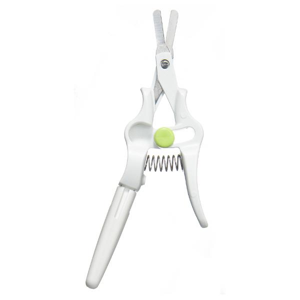 ܐ؂ Ԃ cL͂ xr[ i { Ԃp ߂  ͂ n V 0 j