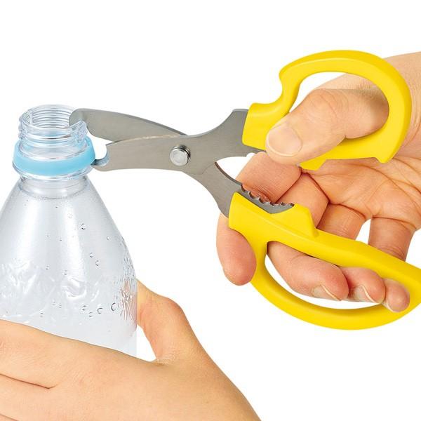 nT~ ybg{g  {g̕ʃnT~ 郉N i ʂ΂ TCN͂ S~ j