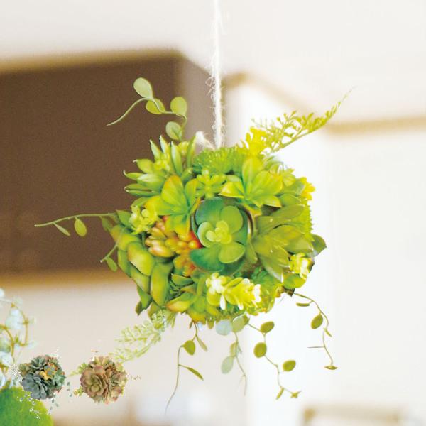 tFCNO[ nMO{[ L GNA CTG} ϗtA i lHϗtA  ǂ nMO j