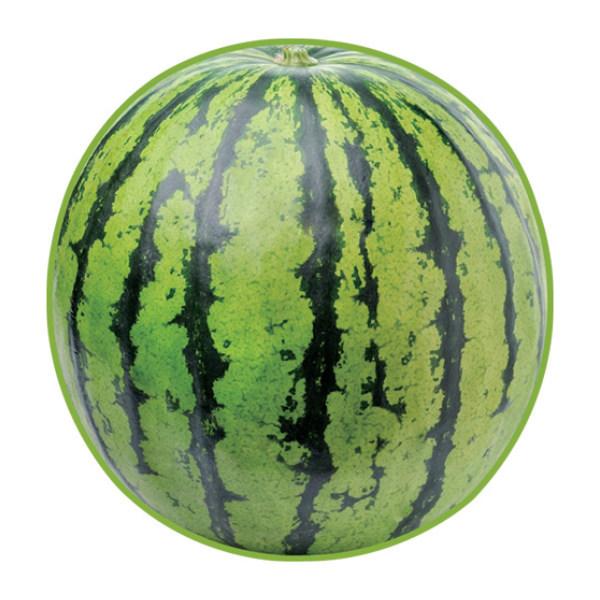 ハンドタオル リアルモチーフタオル スイカ 野菜 フルーツ おもしろグッズ リアル モチーフタオル 食べ物 すいか インテリアパレットヤフー店 通販 Yahoo ショッピング