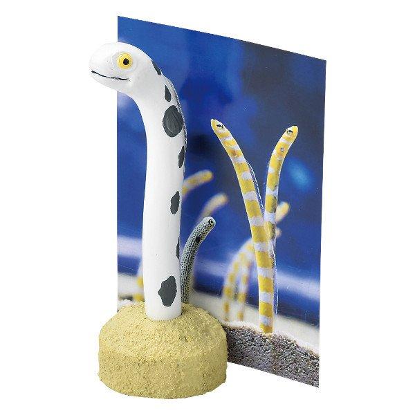 ペン メモスタンド チンアナゴ ペン メモスタンド 水族館 ペンスタンド ペン立て メモホルダー 文房具 雑貨 ステーショナリー インテリアパレットヤフー店 通販 Yahoo ショッピング