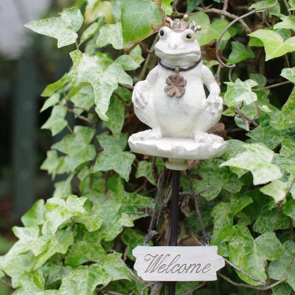 K[fsbN I[ig JG 2iK i K[fjO XeBbN K[fXeBbN sbN | j